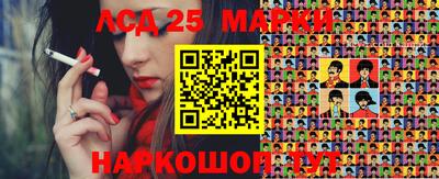 гидропоника Заволжье