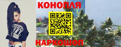 гидропоника Заволжье