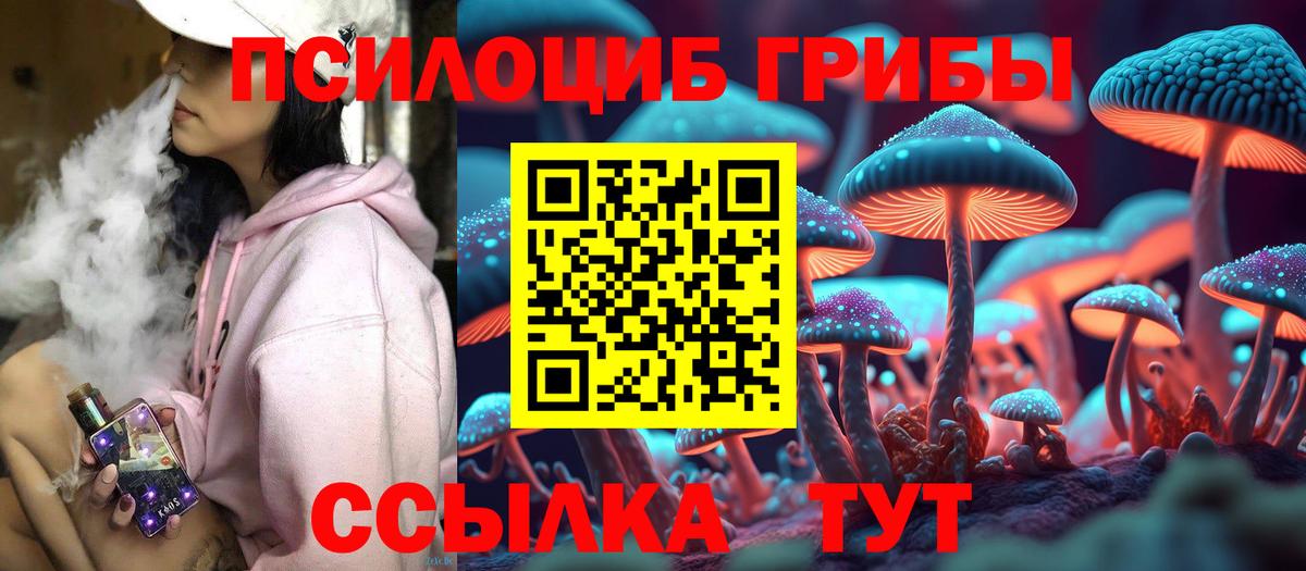 Галлюциногенные грибы Cubensis Куйбышев