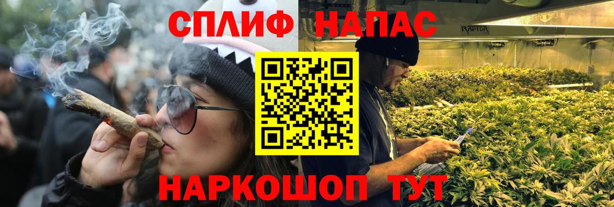 Бошки Шишки планчик Куйбышев